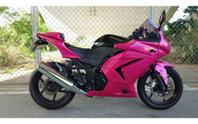KAWASAKI NINJA 250R EX250K
