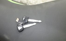 KAWASAKI NINJA 250 EX250P