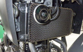 SUZUKI V-STROM 250 A 1979