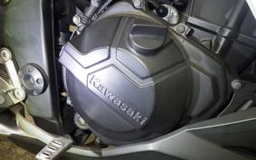 KAWASAKI Z250 2008 ER250C
