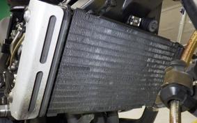 HONDA HORNET 250 MC31