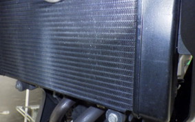 KAWASAKI Z250 2019 ER250C