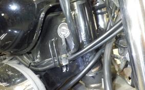 YAMAHA VIRAGO 250 2021 3DM