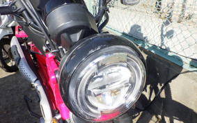 HONDA CT125 HUNTER CUB JA55