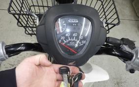 HONDA C110 SUPER CUB 2001 JA07