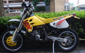 SUZUKI RMX250 S SJ13A