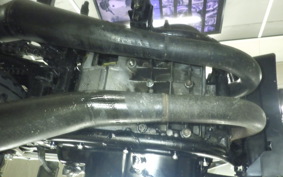 YAMAHA RZ 250 2009 4L3