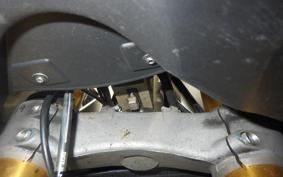 DUCATI DUCATI1198S 2009