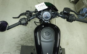 HARLEY RH975 2022