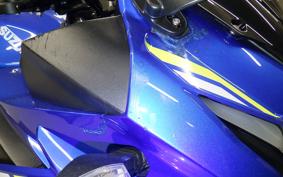 SUZUKI GSX250RA