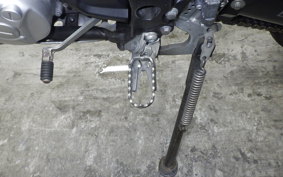 YAMAHA WR250X 2021 DG15J
