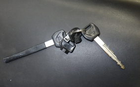HONDA PS250 1993 MF09