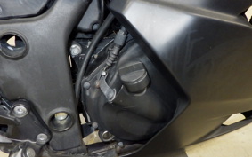 KAWASAKI NINJA 250R 2020 EX250K