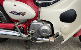 HONDA LITTLE CUB C50