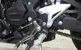 KAWASAKI NINJA 250 2 2009 EX250P