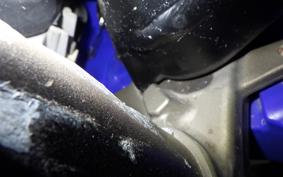 YAMAHA WR250X 2024 DG15J