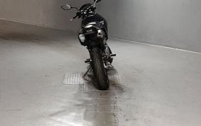 KAWASAKI D-TRACKERX LX250V