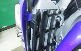 YAMAHA WR250R DG15J