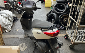 YAMAHA AKUSHI STREET SE53J