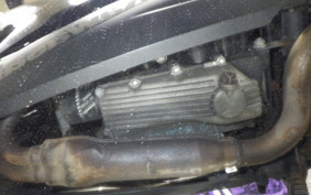 KAWASAKI NINJA 250