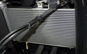 YAMAHA YZF-R25 A 2025 RG43J