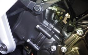 YAMAHA XSR900 GP 2024 RN96J