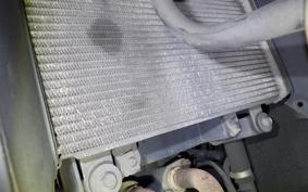 KAWASAKI NINJA 250 2020 EX250L