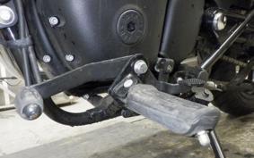 OTHER +ENFIELD ﾒﾃｵ350 2024