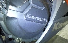 KAWASAKI NINJA 250