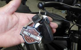 HARLEY RH975S 2024