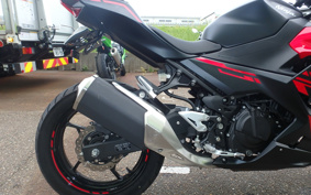 KAWASAKI Ninja 250 ABS EX250P