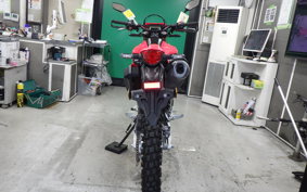 HONDA CRF250L 2019 MD47