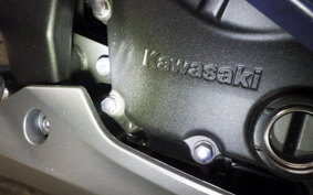 KAWASAKI ZX-25R 2013 ZX250E
