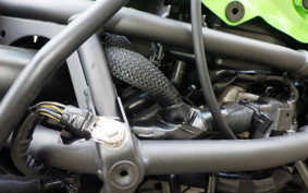 KAWASAKI ZX-4RR 2024 ZX400P