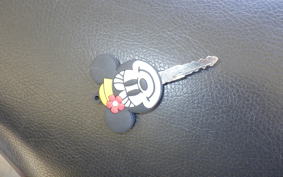 YAMAHA CYGNUS 125 XSR 3 SED8J