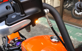 HARLEY FXBBS 2021 YYK