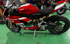 DUCATI PANIGA-REV2 BAYLISS 2023 1H00