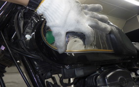 KAWASAKI W800 2013 EJ800A
