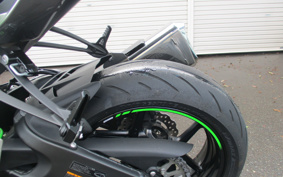 KAWASAKI NINJA ZX-6R 2019 ZX636G