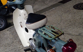 HONDA SUPER CUB50 C50