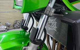 KAWASAKI ZRX1200 DAEG 2013 ZRT20D