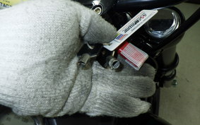 HARLEY FXDL 1580 2010