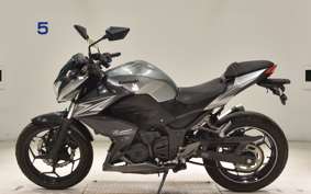 KAWASAKI Z250 A 2021 ER250C