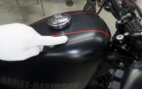 HARLEY XL1200CX 2017