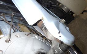 HONDA LITTLE CUB 2021 AA01