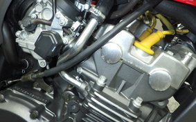 HONDA HORNET 250 2009 MC31