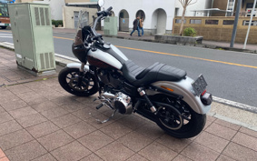 HARLEY HARLEY FXDL1580 2015 GN4