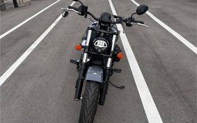 INDIAN CHI-FU DARK HOSE 2022 DMABH