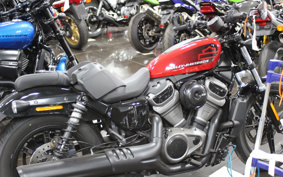 HARLEY  HARLEY RH975 NIGHT  STAR  2023 ZH1