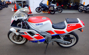 YAMAHA FZR250R-1 3LN